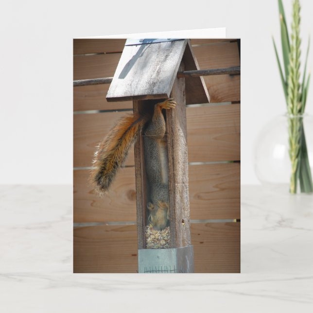 Squirrel Raiding Bird Feeder Card (Front)