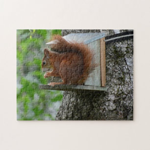 Squirrel Red Rodent Cute Nature Garden Meal Nut Jigsaw Puzzle