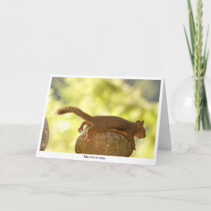 Squirrel Relaxing Card