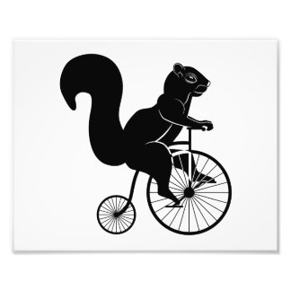 Squirrel Rider on Old Bike Photo Print