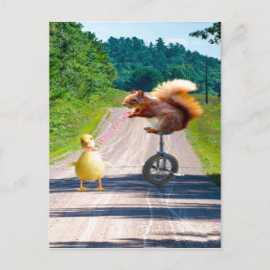 Squirrel Riding Unicycle Walking Duck Postcard