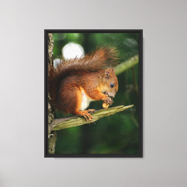 Squirrel’s Treasure Canvas Print (Front)
