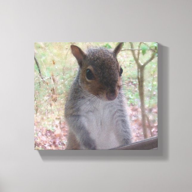 Squirrel says Hi! Canvas Print (Front)