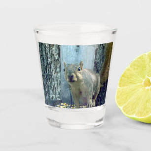 Squirrel Shot Glass