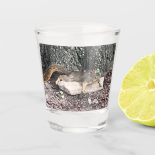 Squirrel Shot Glass