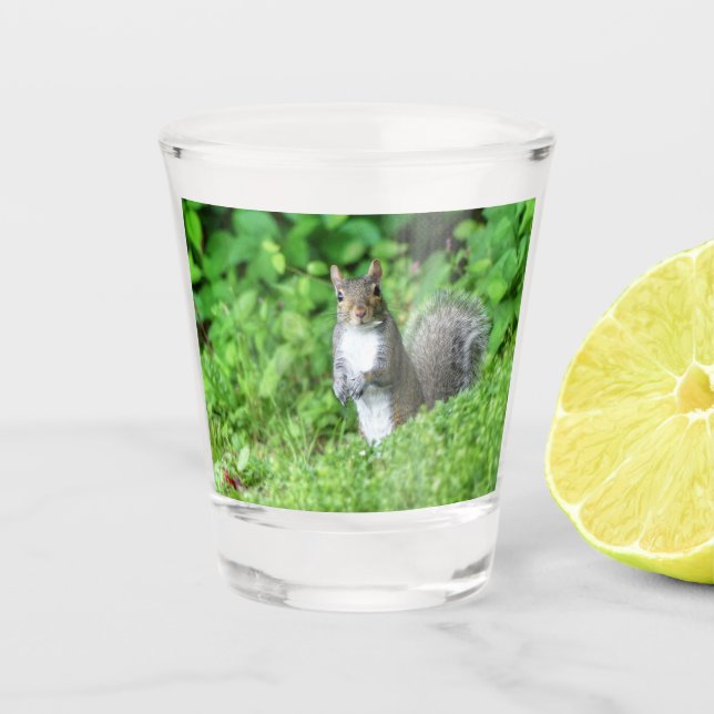 Squirrel  shot glass (Front)