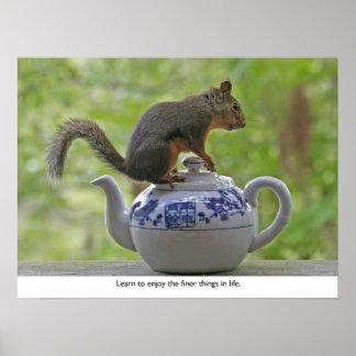 Squirrel Sitting on a Teapot Poster