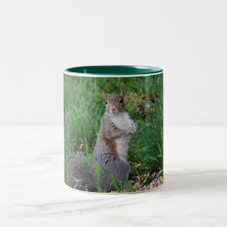 Squirrel Sitting Up Mug