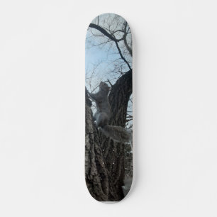 Squirrel Skateboard