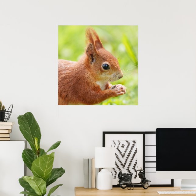 Squirrel Sparkle in the Sun Poster (Home Office)