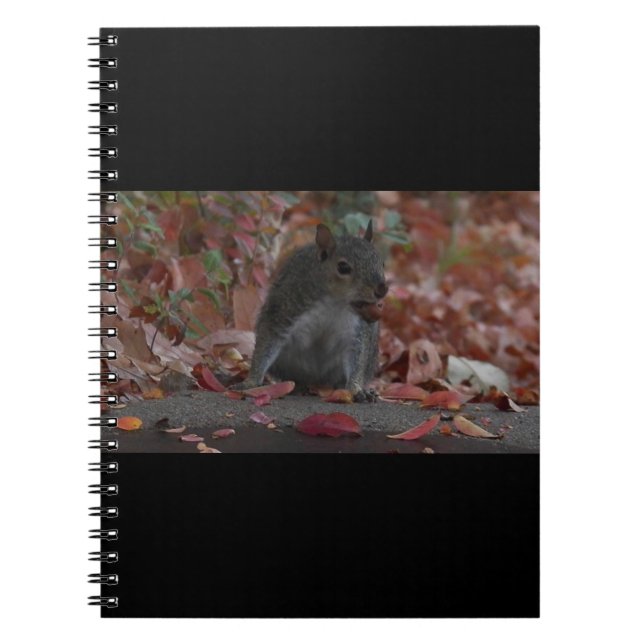 Squirrel Spiral Notebook (Front)