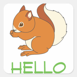 Squirrel Square Sticker