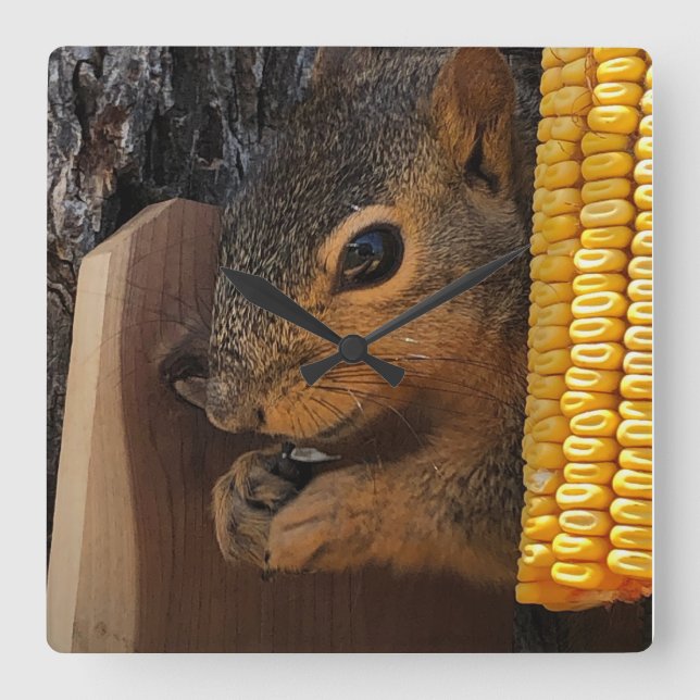 Squirrel  square wall clock (Front)
