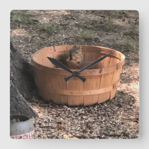 Squirrel Square Wall Clock