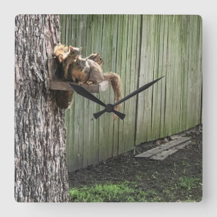 Squirrel Square Wall Clock