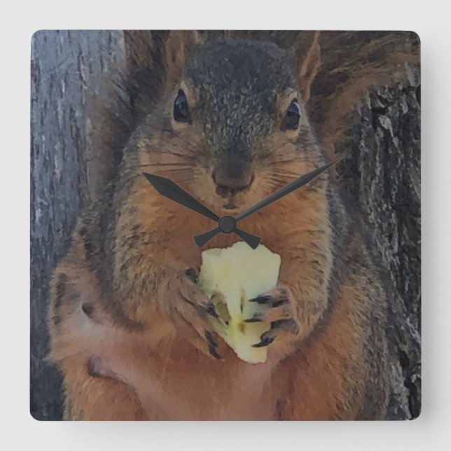 Squirrel  square wall clock (Front)