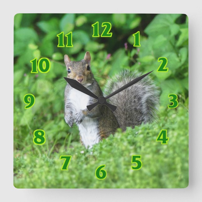 Squirrel  square wall clock (Front)