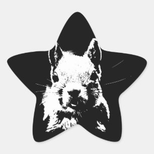 Squirrel Star Sticker