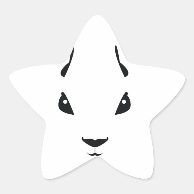 squirrel star sticker (Front)