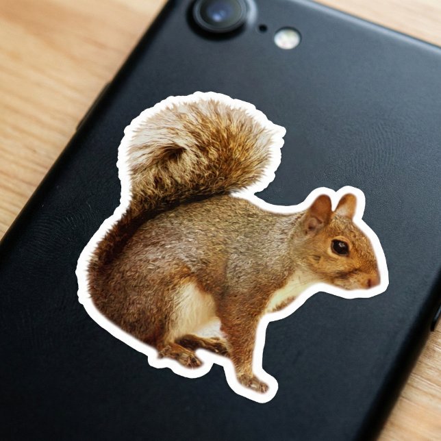Squirrel Sticker (Nature for your phone.)