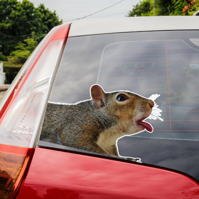 Squirrel Sticker (Squirrel Sticker)
