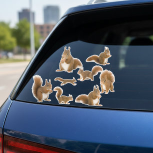Squirrel Sticker Pack