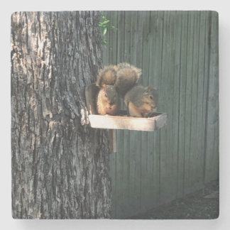 Squirrel Stone Coaster