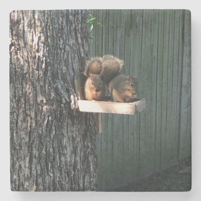 Squirrel Stone Coaster (Front)