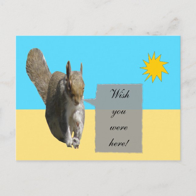 Squirrel Sunshine Postcard (Front)