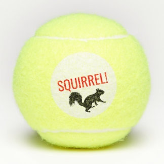 Squirrel tennis balls-set of 3 balls