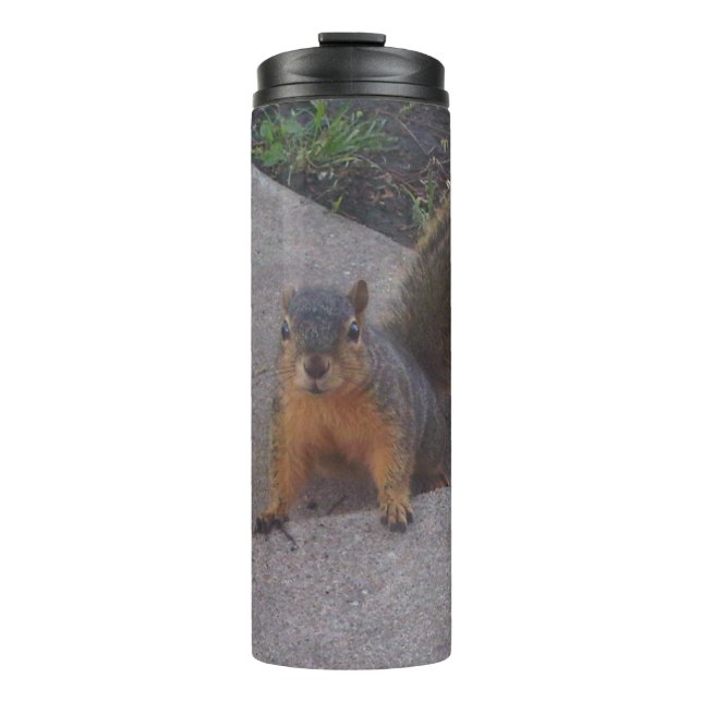Squirrel Thermal Tumbler (Front)