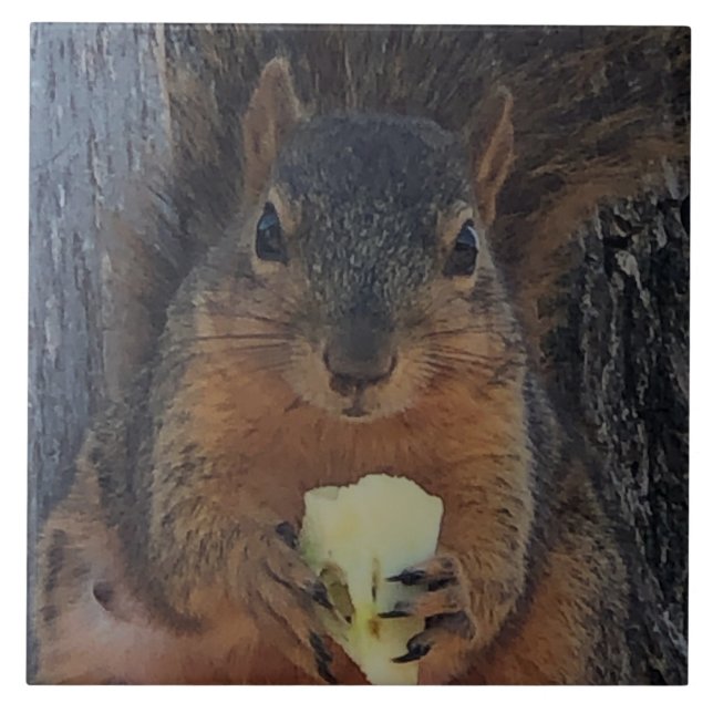 Squirrel Tile (Front)