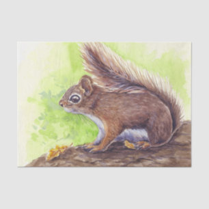 Squirrel Tissue Paper