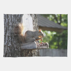 Squirrel Towels
