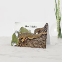 Squirrel Tree Wedding Congratulations