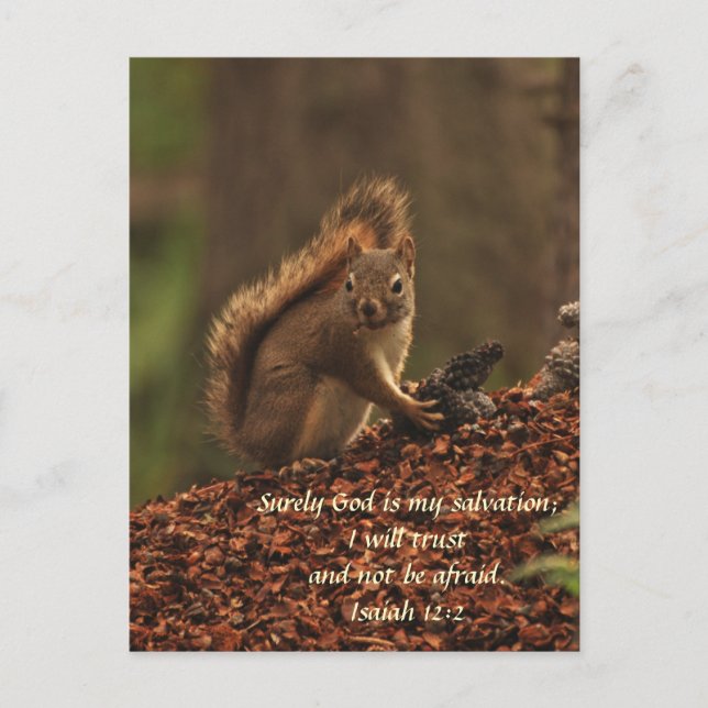 Squirrel - Trust Postcard (Front)
