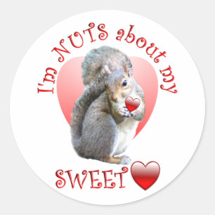 Squirrel Valentine Classic Round Sticker