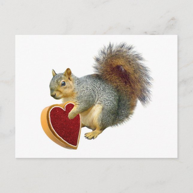 Squirrel Valentine Postcard (Front)