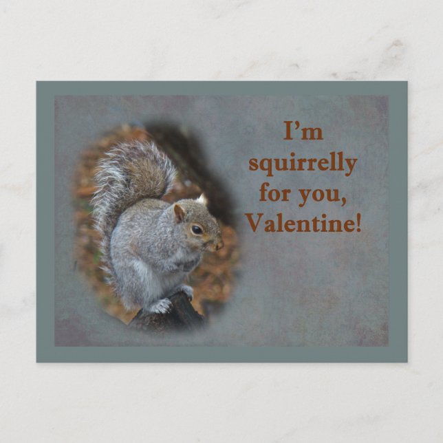 Squirrel Valentine's Day Card (Front)