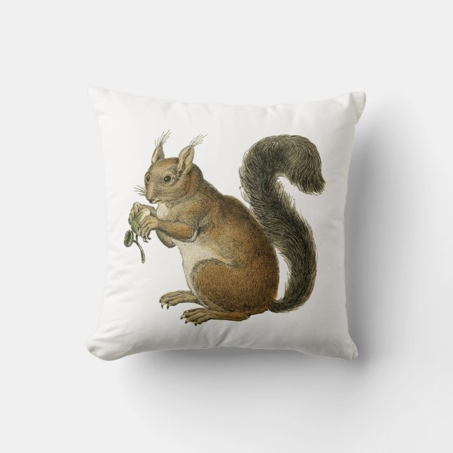 Squirrel Vintage Illustration Cushion (Front)
