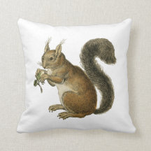 Squirrel Vintage Illustration Cushion
