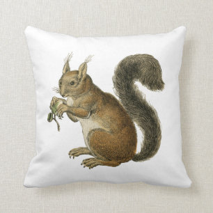 Squirrel Vintage Illustration Cushion