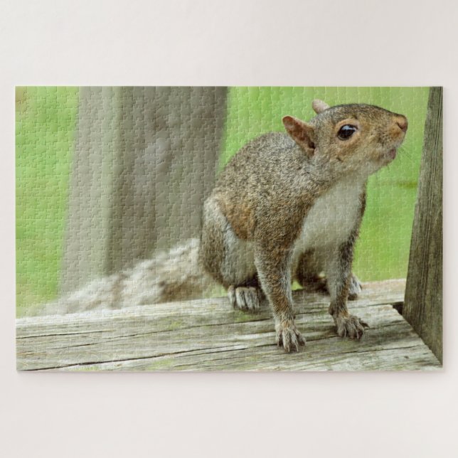 Squirrel Visitor Jigsaw Puzzle (Horizontal)