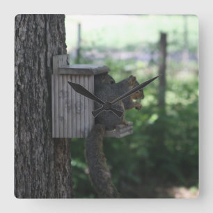 Squirrel Wall Clock
