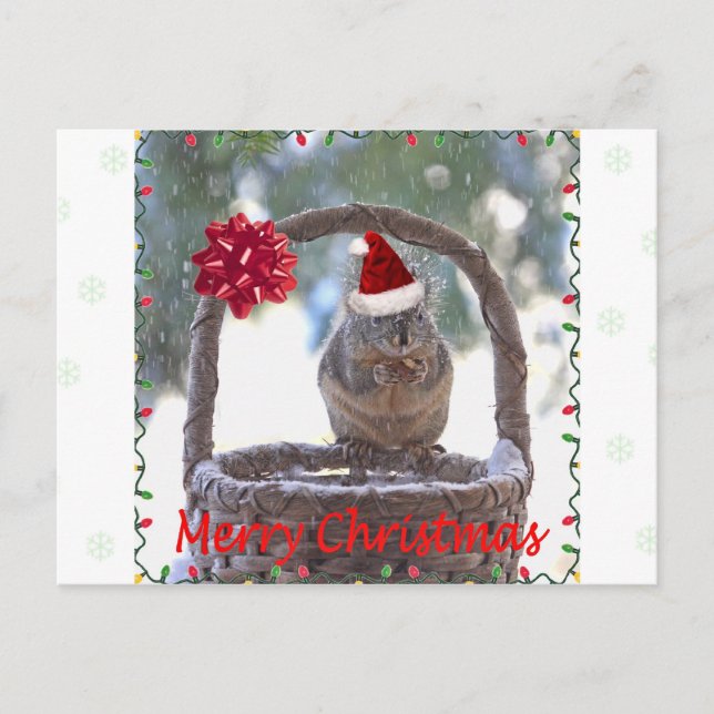 Squirrel Wearing Santa Hat Holiday Postcard (Front)
