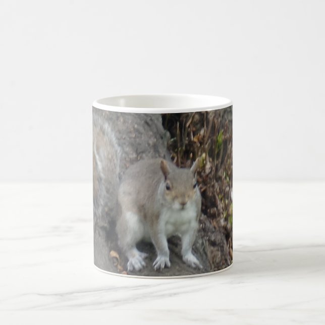 Squirrel White Coffee Mug (Center)