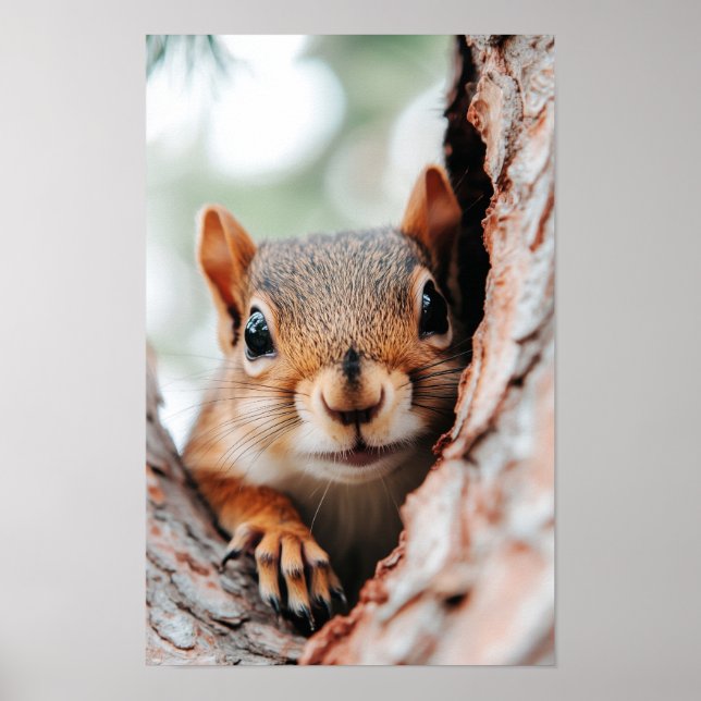 Squirrel Wild Animal Loving Portrait  Poster (Front)