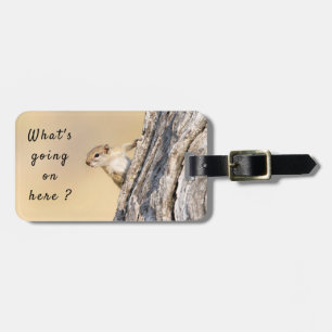 Squirrel wildlife photography Africa Safari animal Luggage Tag