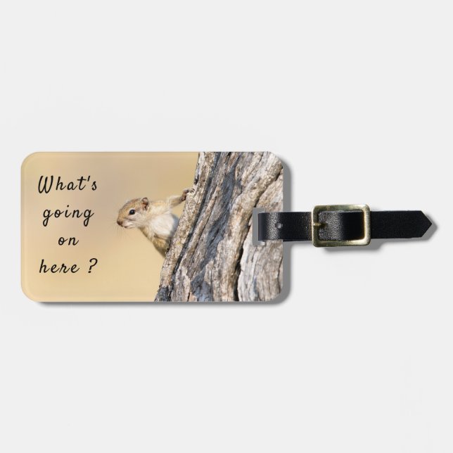 Squirrel wildlife photography Africa Safari animal Luggage Tag (Front Horizontal)