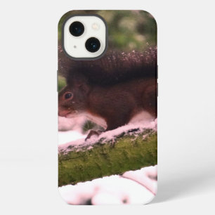Squirrel Winter Photo iPhone 6/6s, Tough Xtreme 13 Case